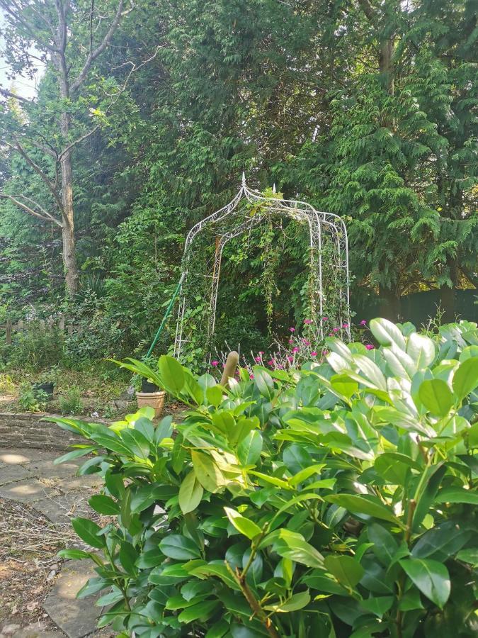Peaceful Retreat Hideaway Surrey Apartment เอสเชอร์ ภายนอก รูปภาพ